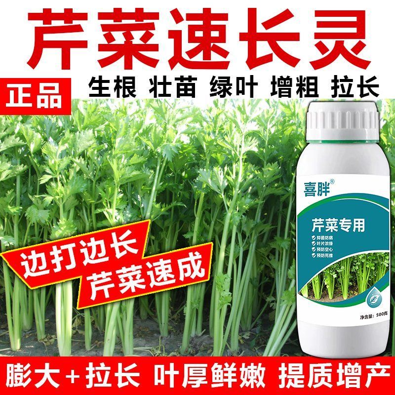 芹菜猛长芹菜专用肥料增粗增白拉长嫩绿西芹通用芹菜速长叶面肥