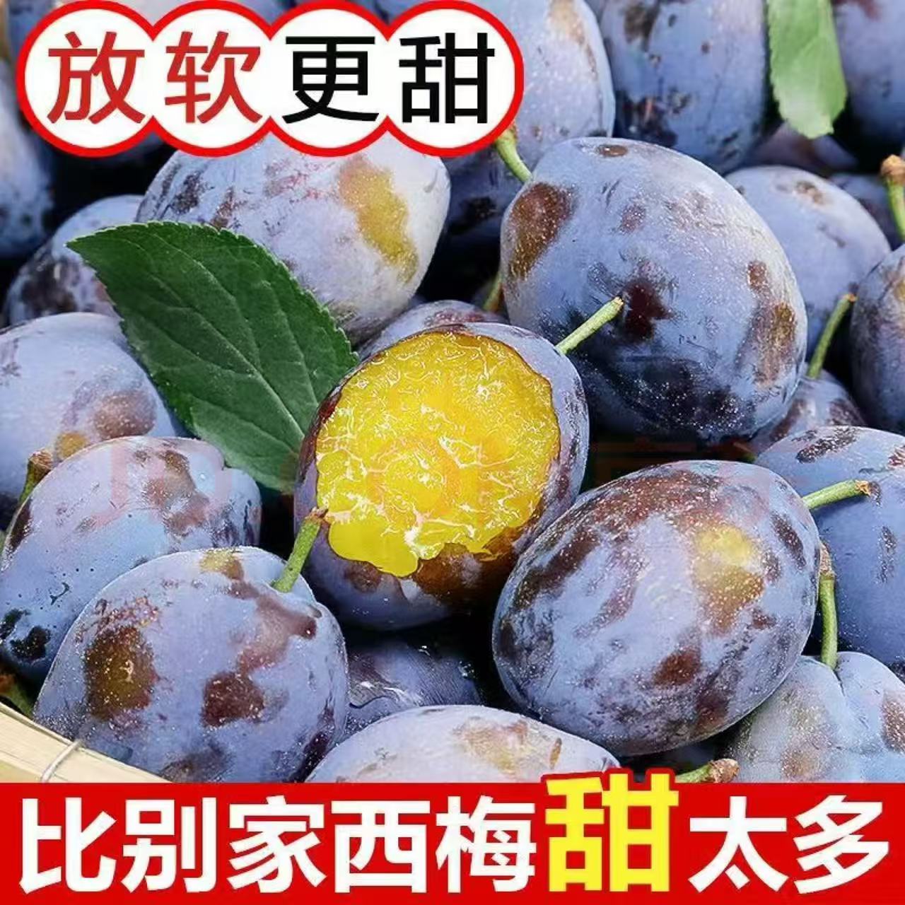 西北蓝蜜西梅次日达新鲜饱满多汁水酸甜脆爽应季整箱发现货