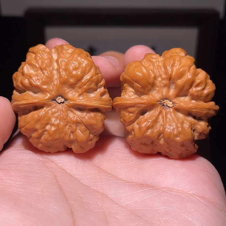 ****g核桃手串/手链蛤蟆头  