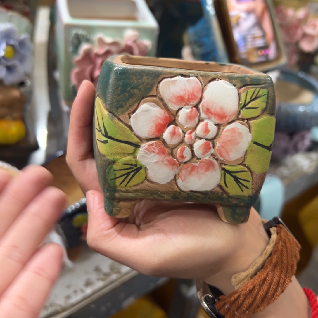 花盆，拍满20发货，退款拉黑