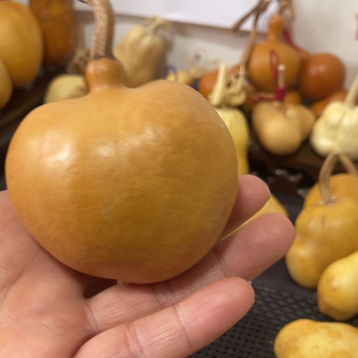 咕***噗葫哈哈哈哈哈哈哈哈哈哈