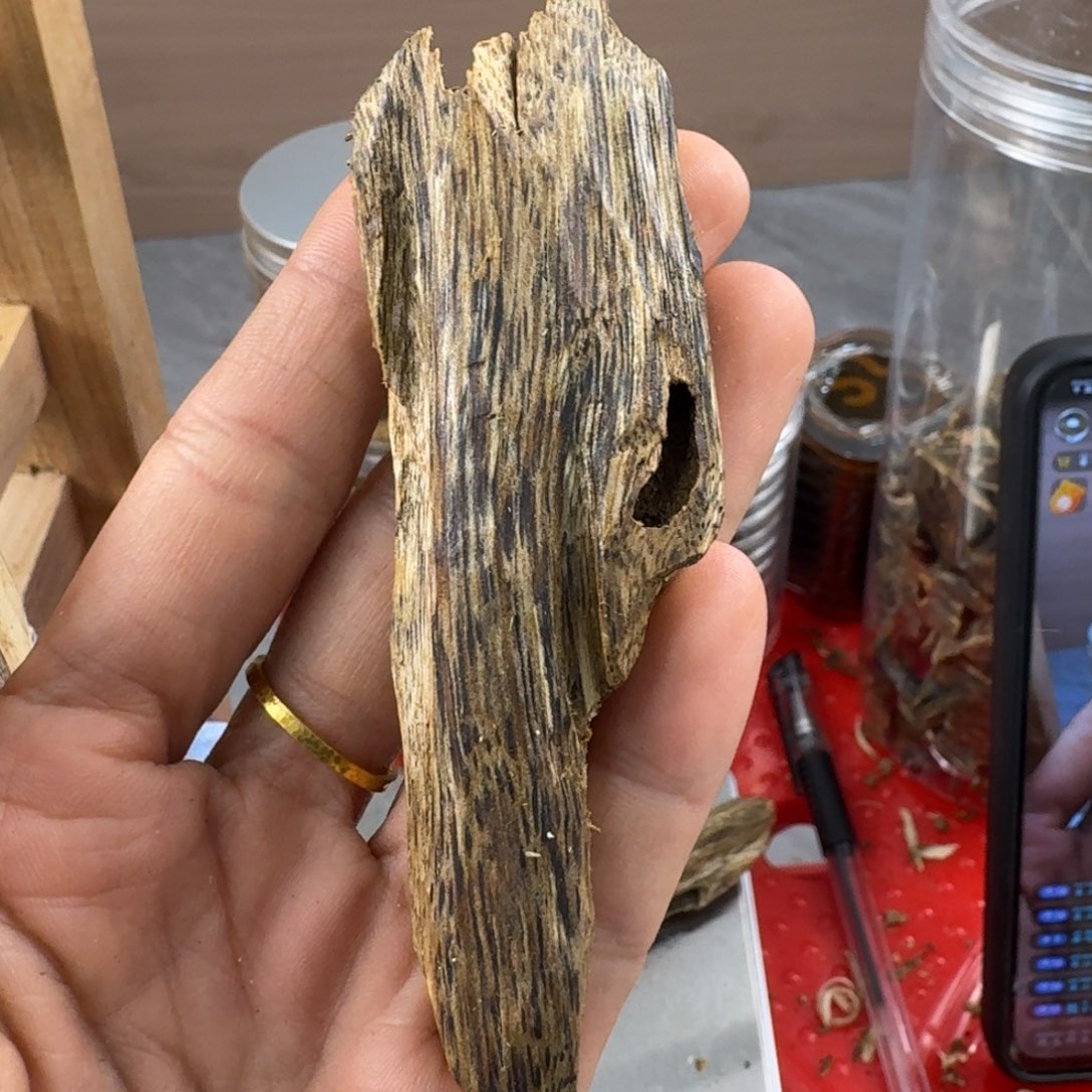 香料绿奇楠虫漏张勺子9克