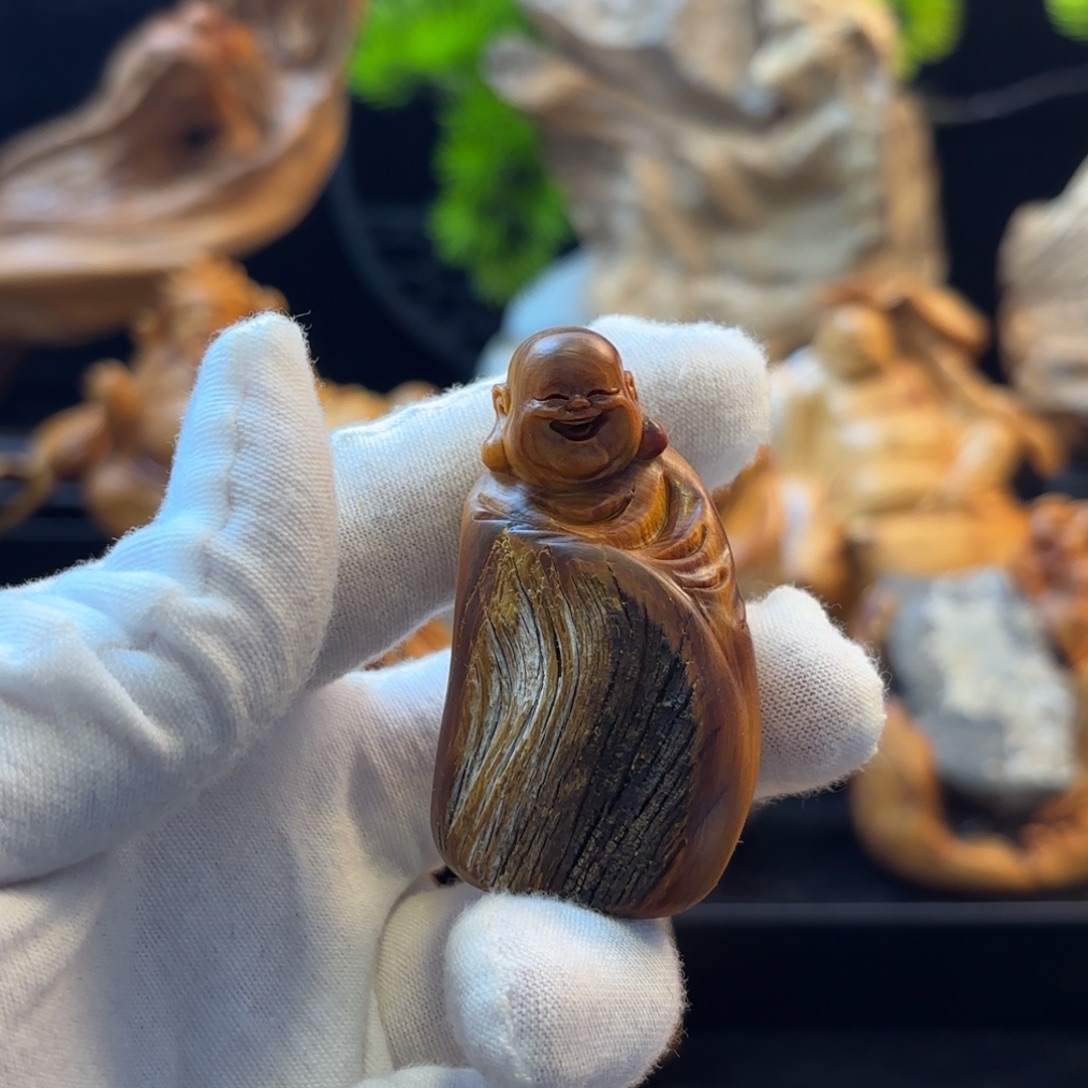 观***海柏木1111111111111