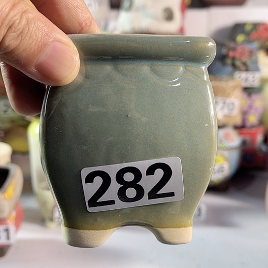 红陶多肉植物花盆