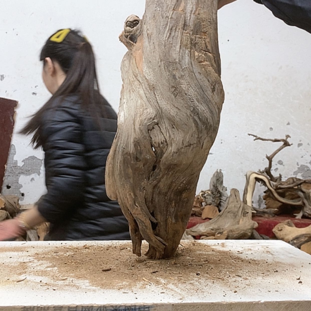 【闪购商品】柏木山****王我们都是好孩子