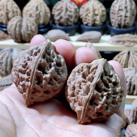 文玩核桃把件雷雷