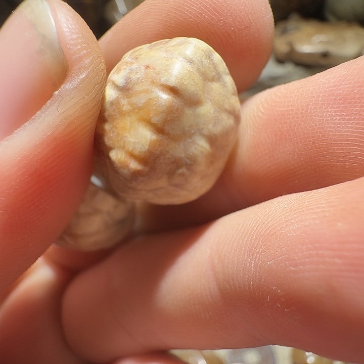 阎***8和田玉（糖玉）未镶嵌挂件