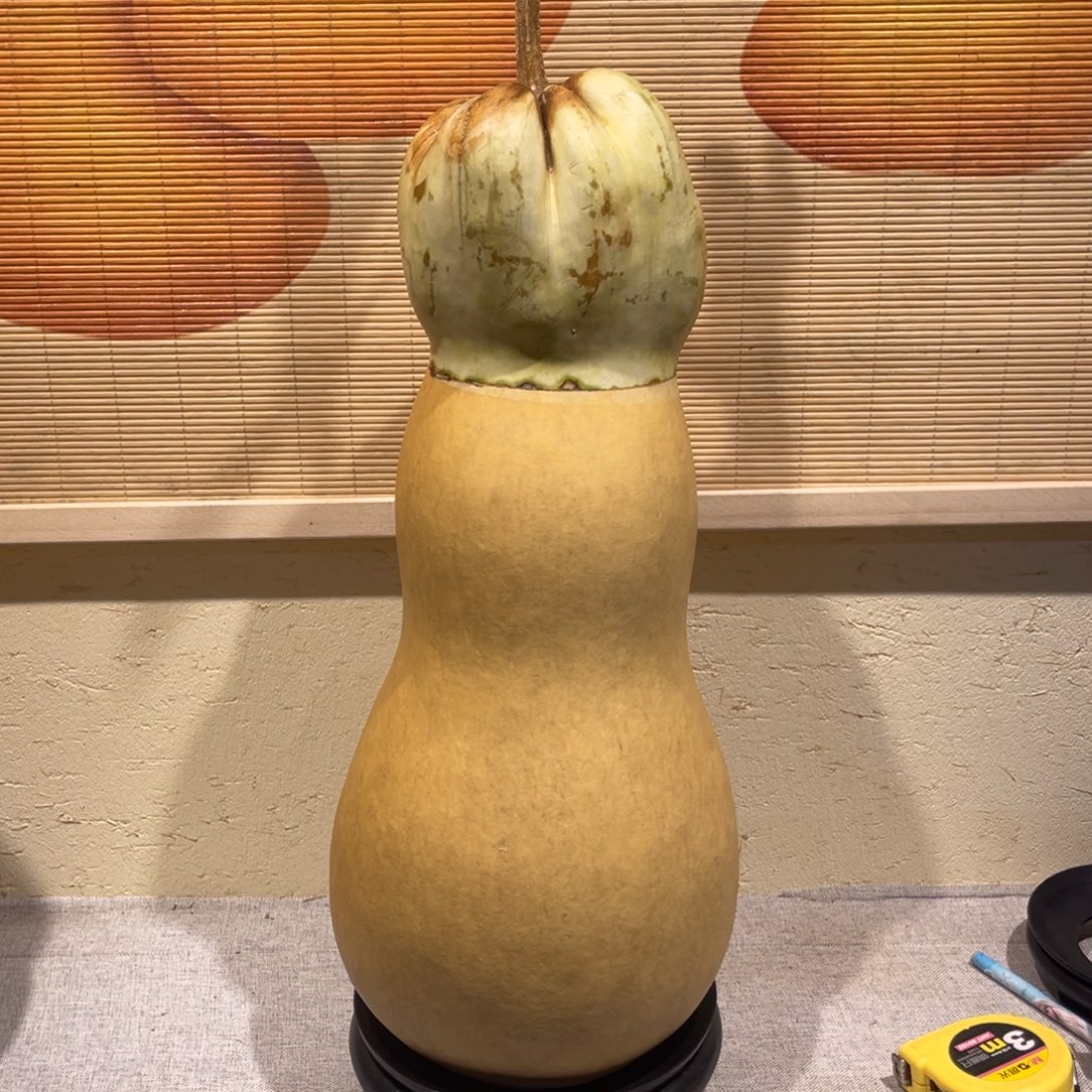梁***良仿木不包邮不保龙头