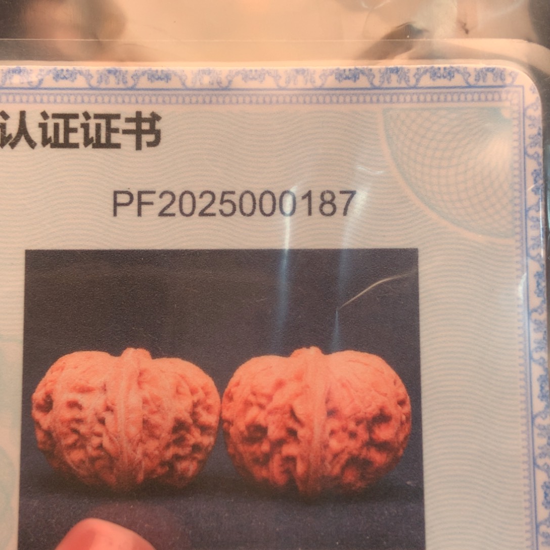 文玩核桃把件42元宝