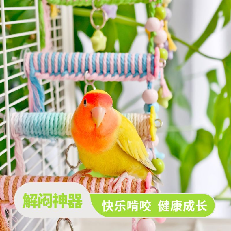 鹦鹉适用棉绳攀爬架铃铛球秋千可造型鸟笼用品牡丹玄凤虎皮玩具