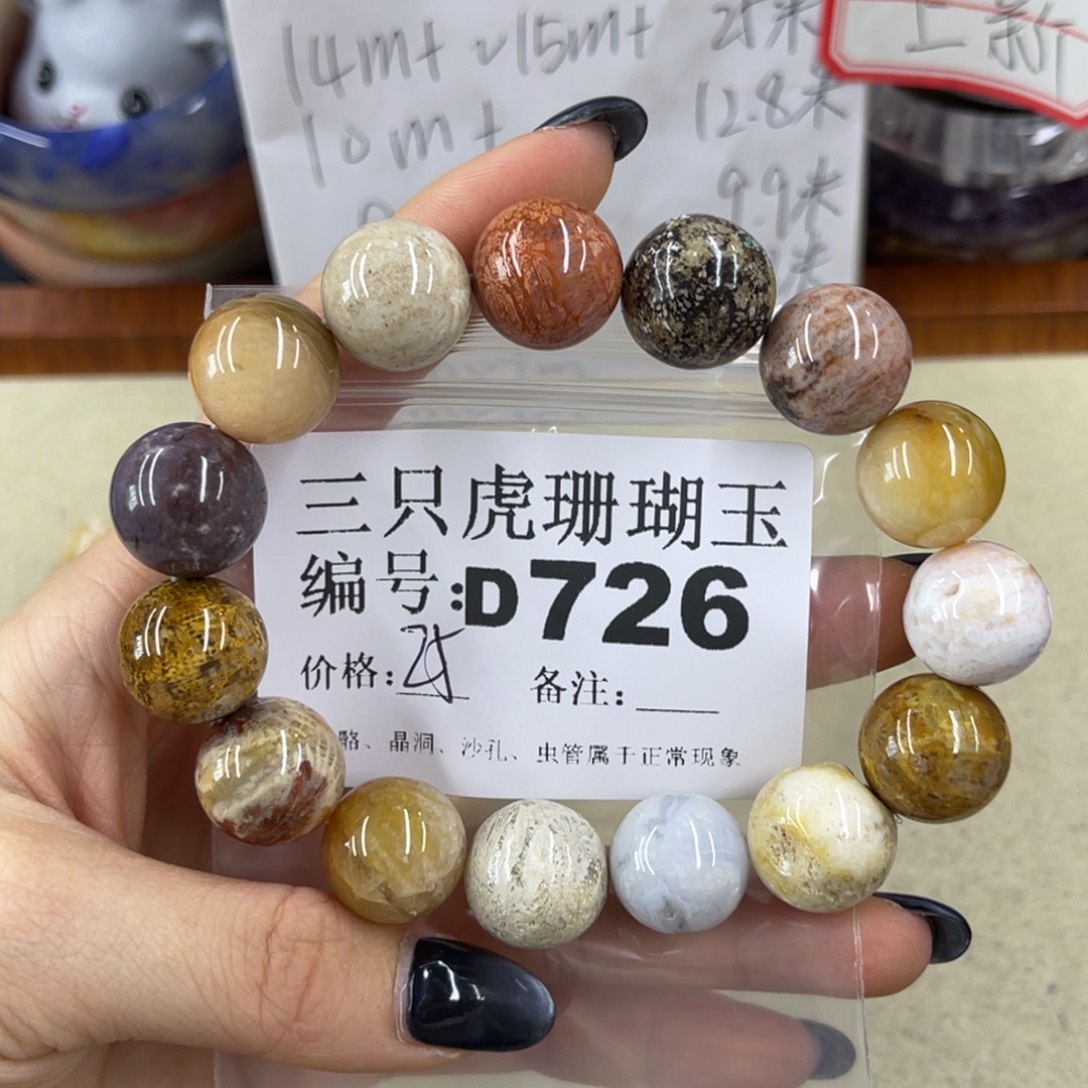 一***主未镶嵌h硅化珊瑚（珊瑚玉）