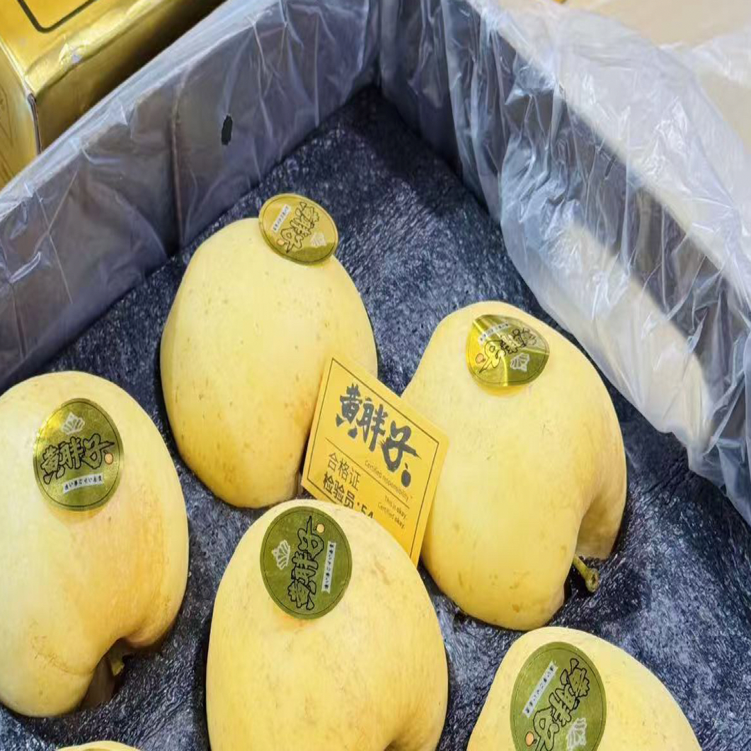 黄胖子维纳斯苹果3斤装