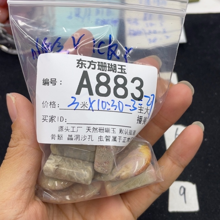硅化珊瑚（珊瑚玉）颈饰合金