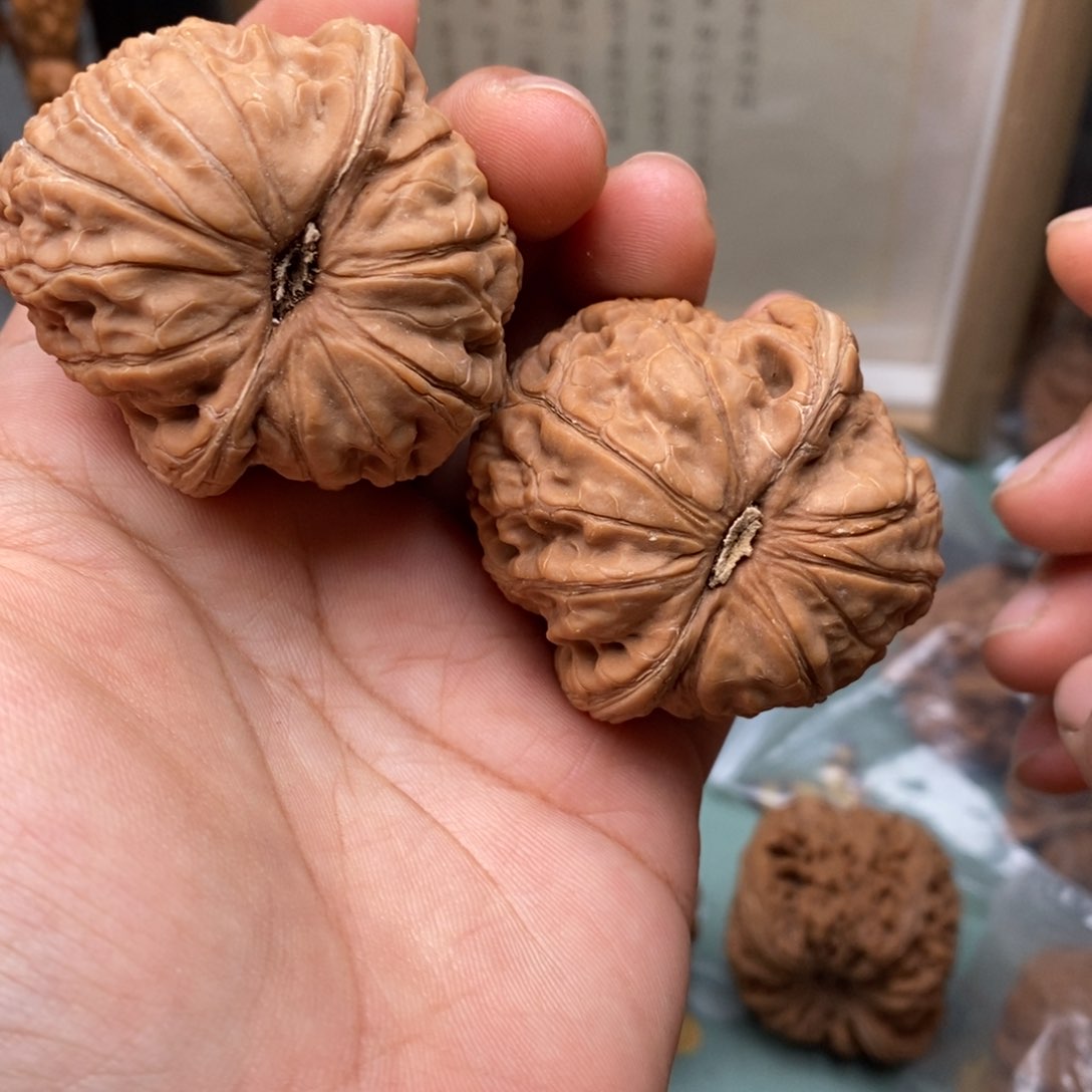 文玩核桃把件所*1111111111111