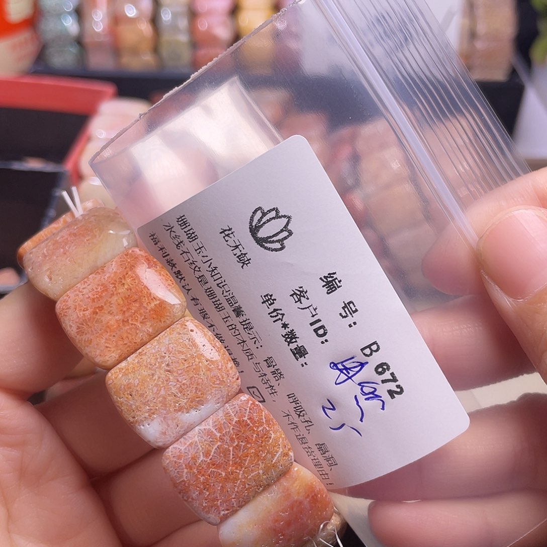 冉***然硅化玉未镶嵌手镯