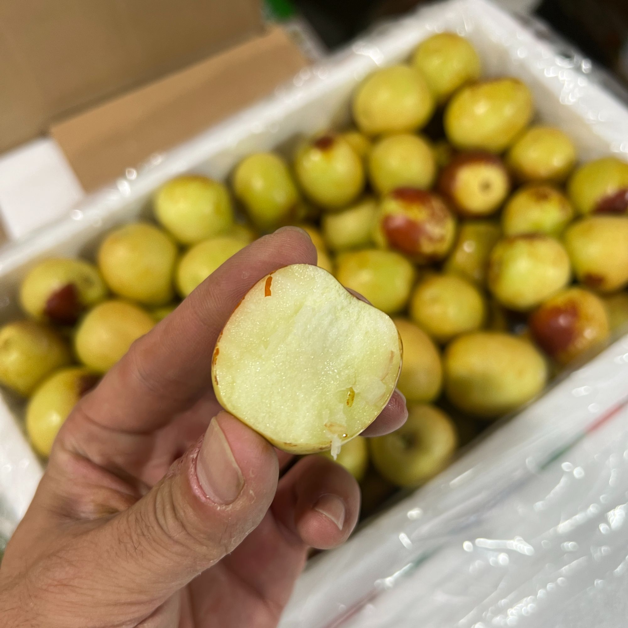 陕西大荔冬枣脆甜口感老少皆宜顺丰包邮陕西省