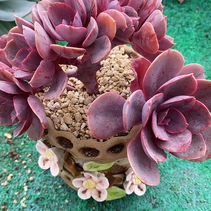 紫丁香朵朵缀27-1