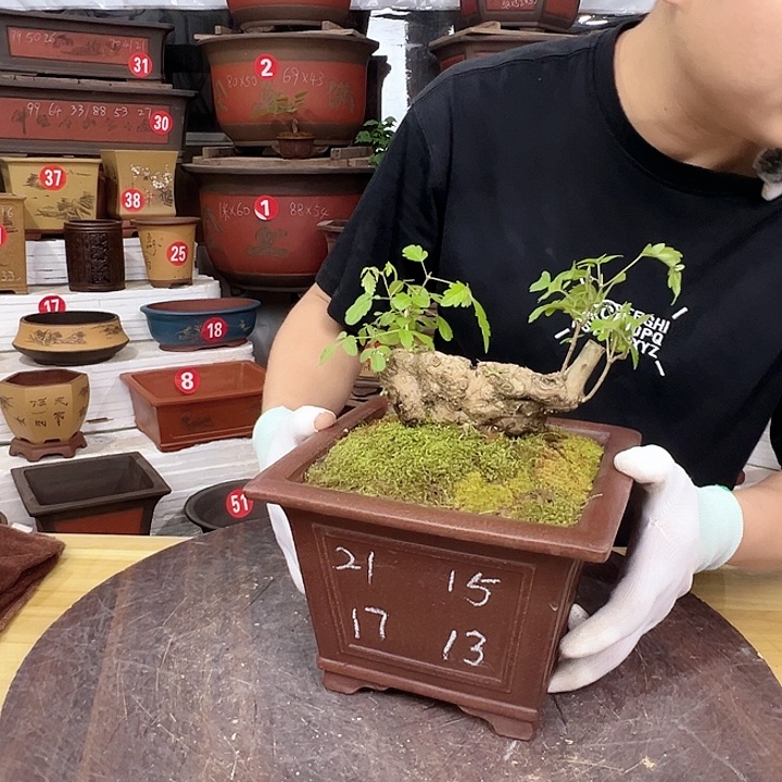 精品紫砂工厂直发