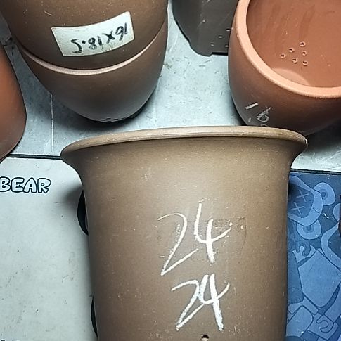 特大金钟一个花盆