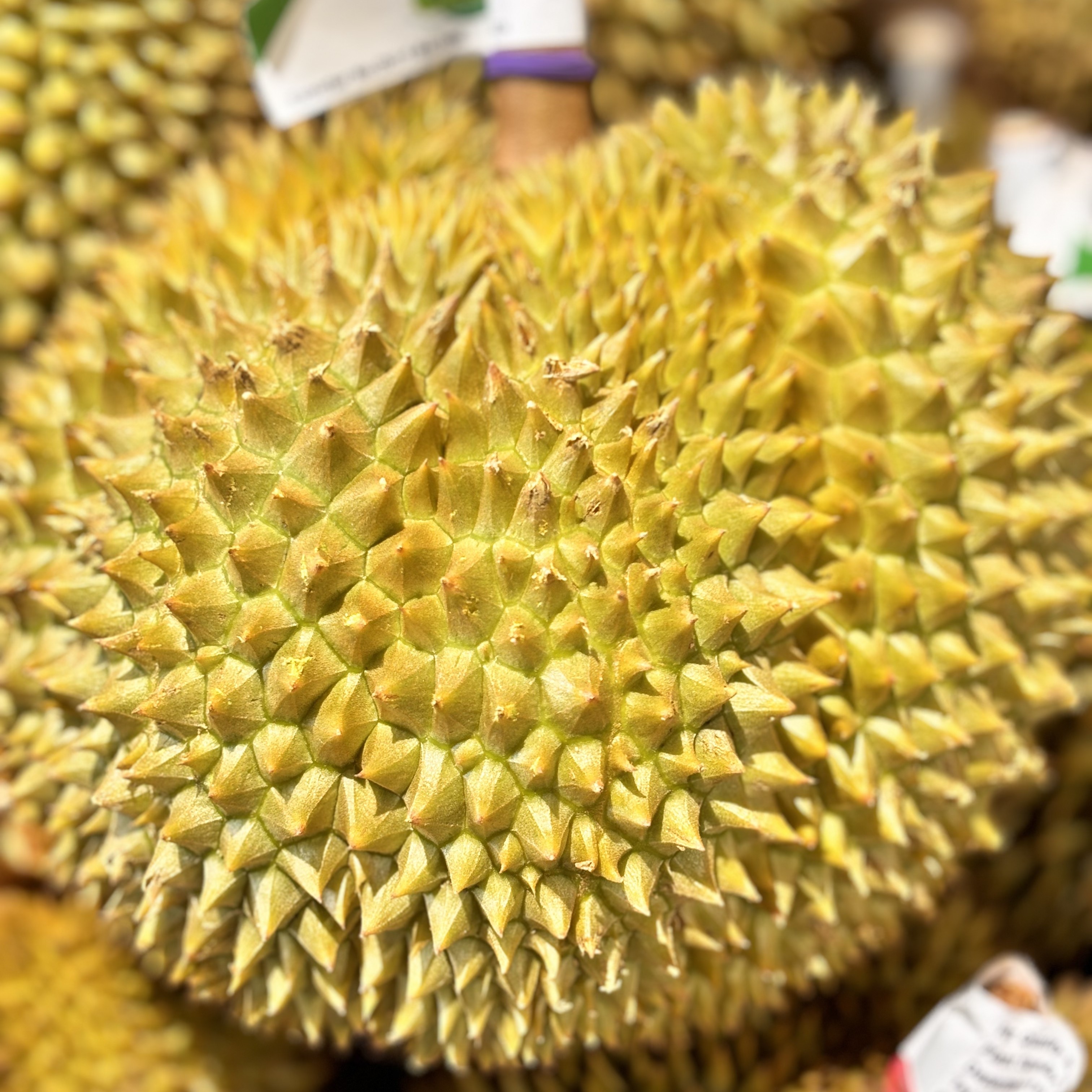 泰国新鲜 金枕榴莲 核小2.060公斤甲仑泰国