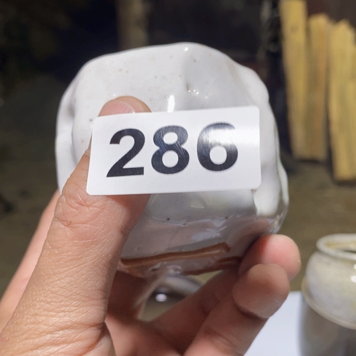 茶盏阿*?啦啦啦啦啦啦啦啦啦啦啦啦286