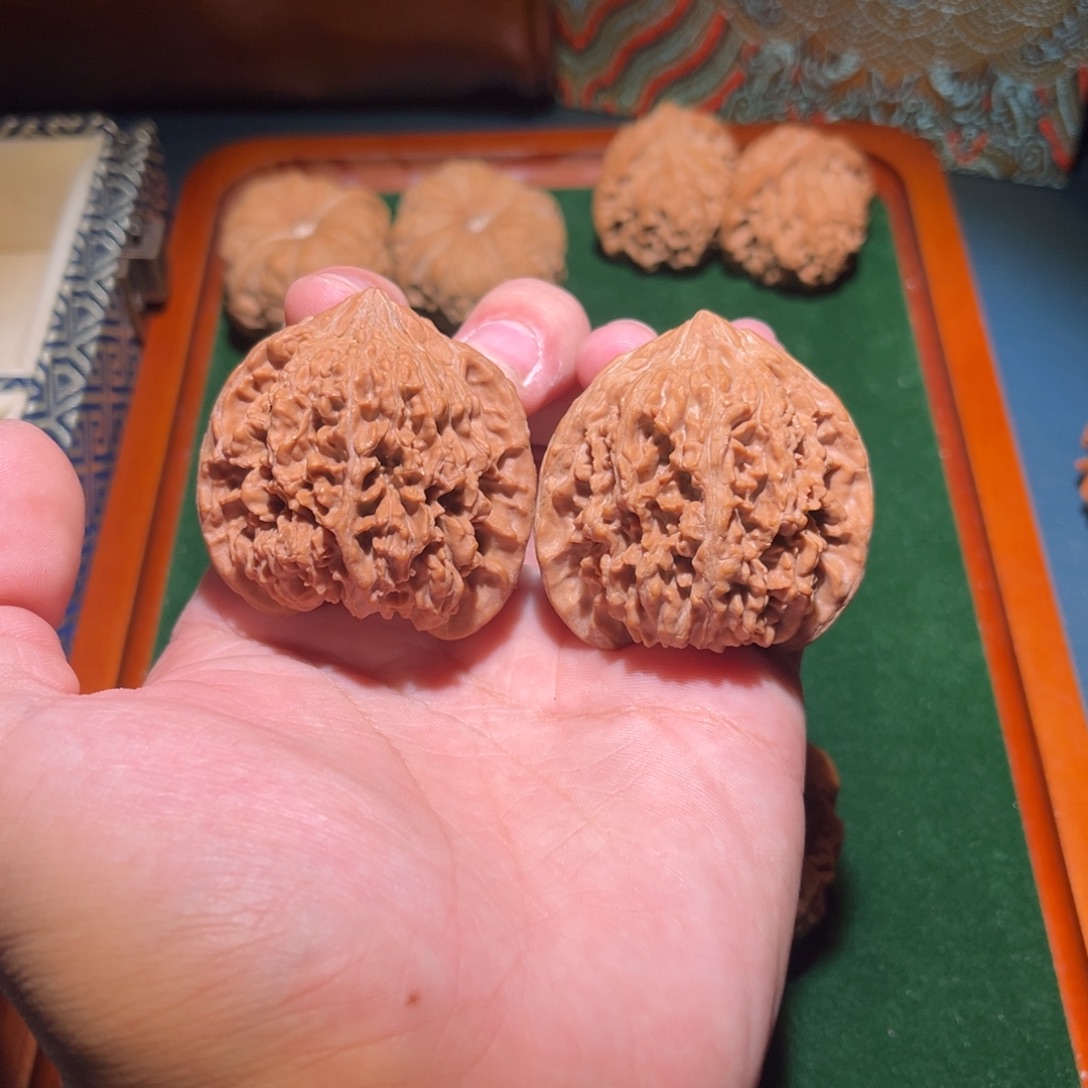 44全品满天星核桃核桃