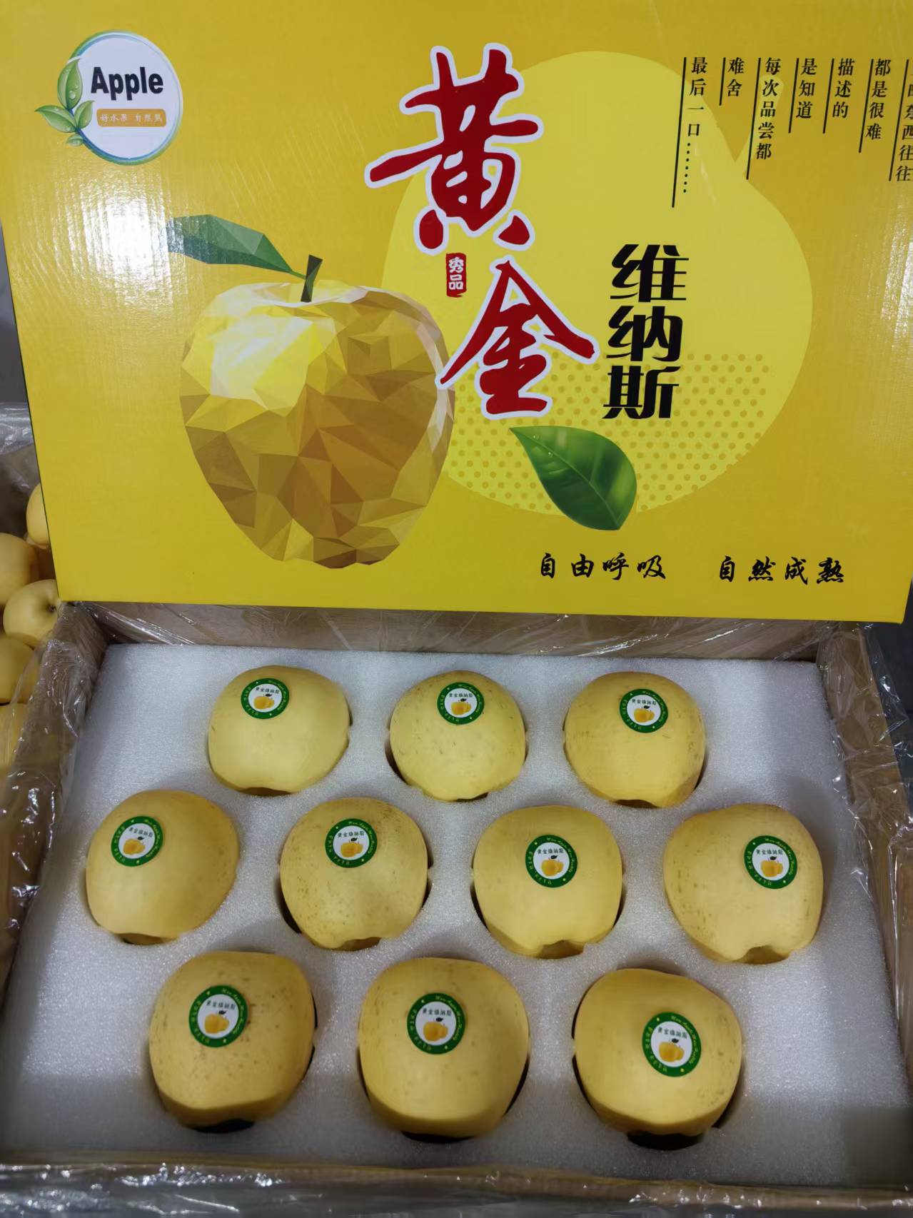 黄金维纳斯苹果礼盒装两种礼盒箱子随机发货10个果(有果绣)纯甜