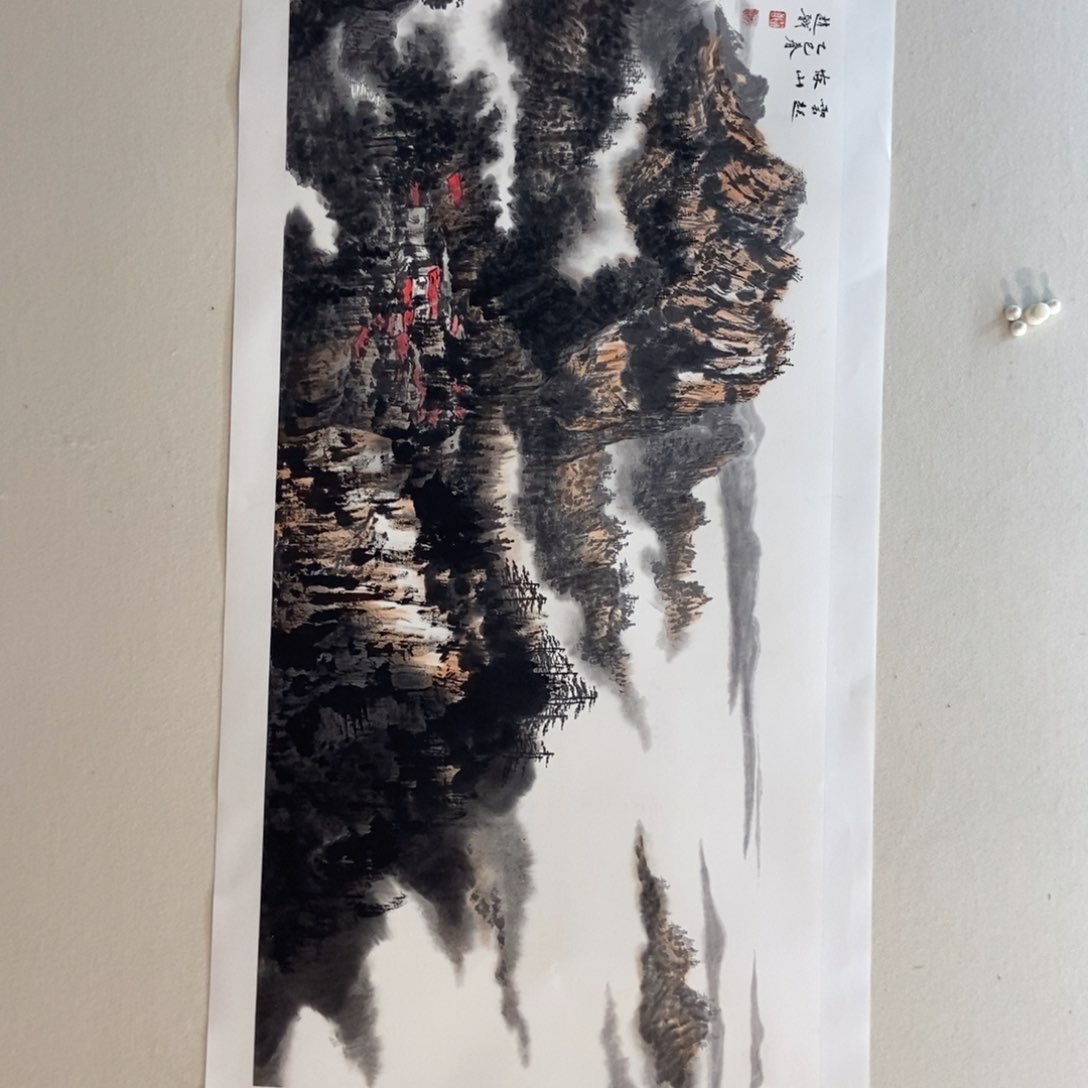 【闪购商品】国画用****3墨鱼精品墨鱼精品