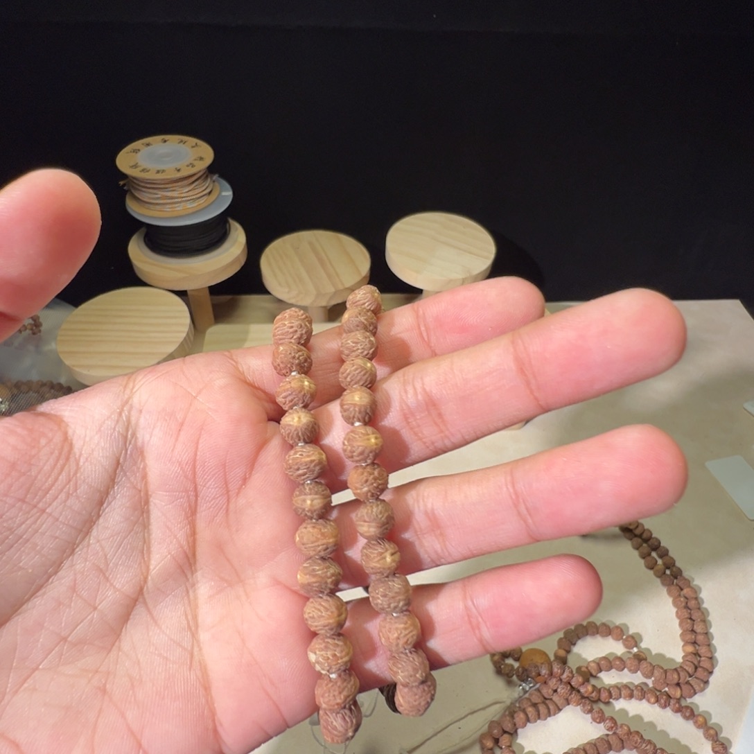 郁***良菩提籽类酸枣核凤眼菩提原色