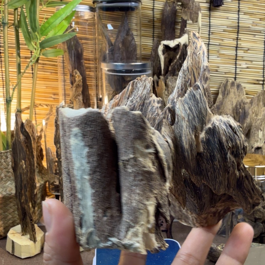 沉香沉香碎屑沉香虎斑棋60g