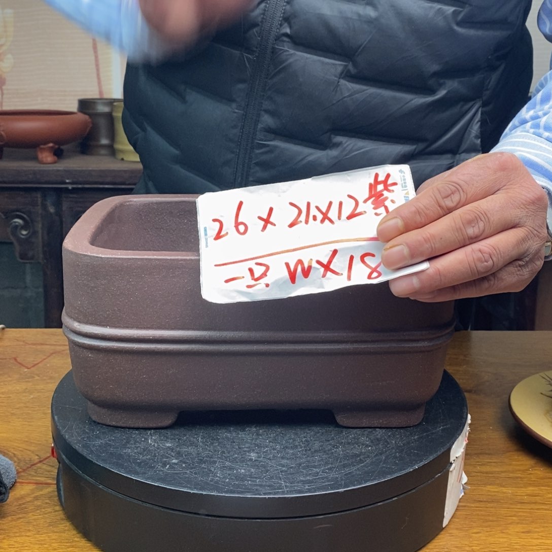 红陶货号一只WX18