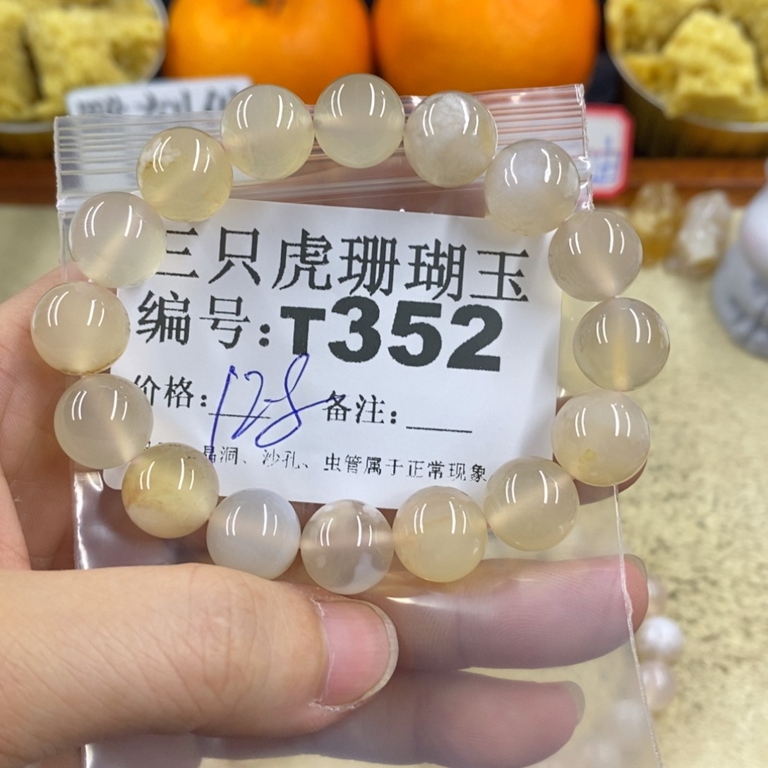 硅化珊瑚（珊瑚玉）1未镶嵌原*