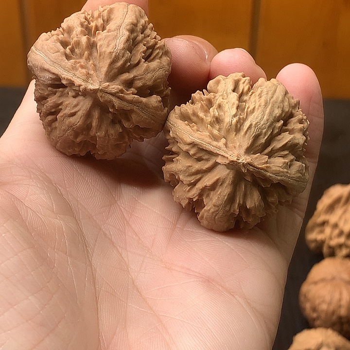 文玩核桃吊坠38 41霸王龙