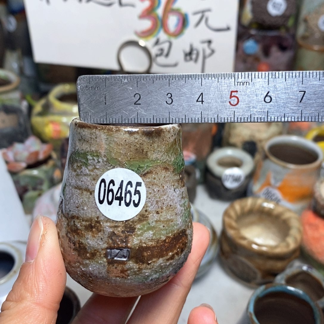 花盆拍5送一个小礼物