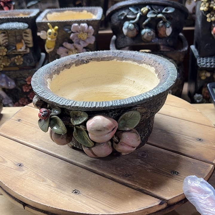 青藤多肉花盆百搭