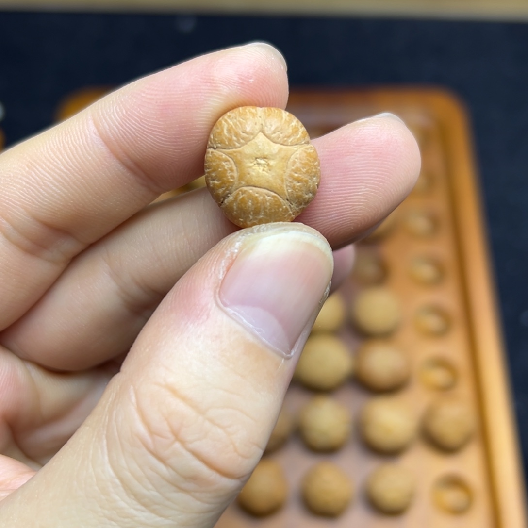 凤眼菩提手串16.8五星上将