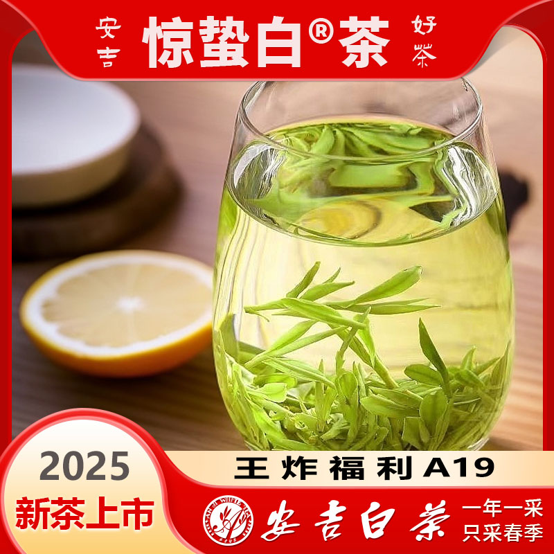 【2025新茶A19】明前安吉新茶绿茶礼盒高档茶叶精品兰香小芽安吉白