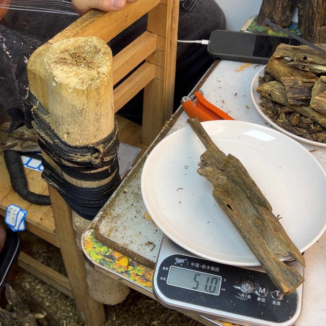 线香奇楠虫漏香51克