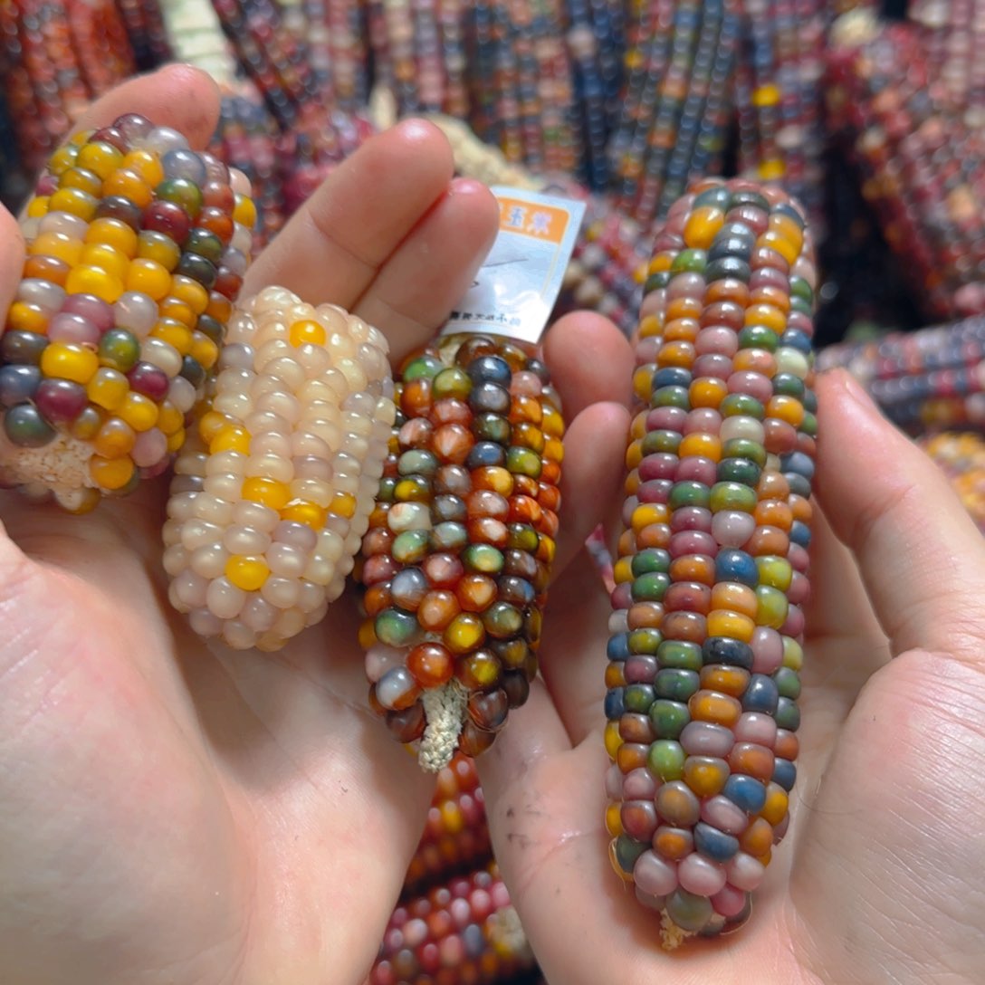 大叶紫檀（黑酸枝木类）喔***?