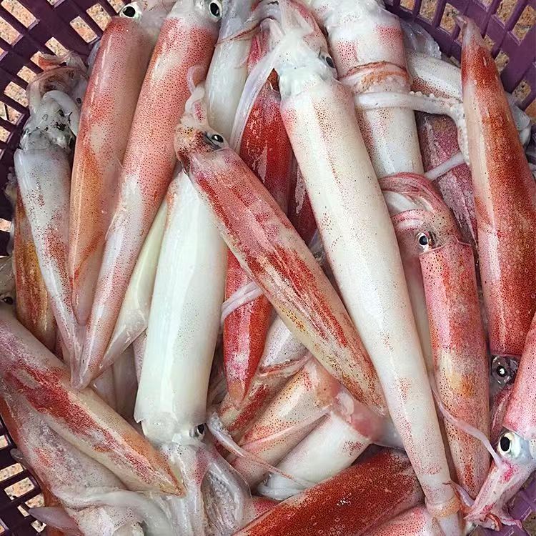 钓管/ 辣椒管【今天发明天到】 顺丰包邮  福建厦门 500g/盒
