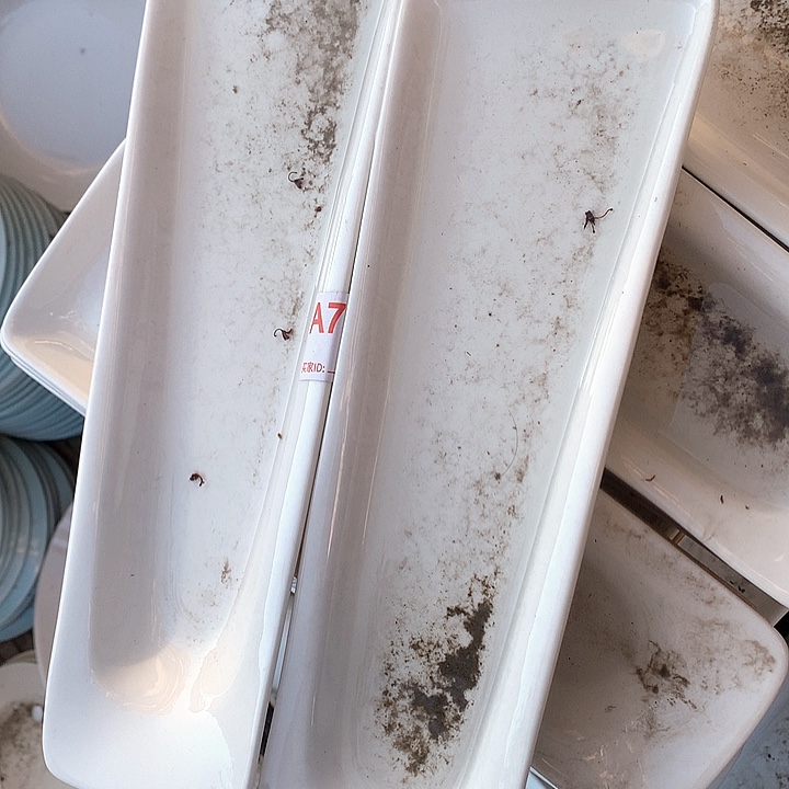 紫砂陶瓷艺术作品欣赏