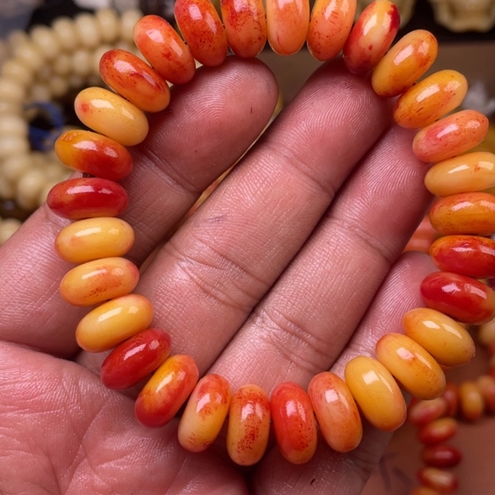 驼骨其他人工养殖