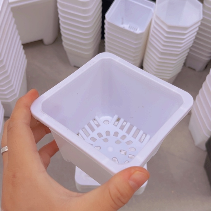 白方口9高7一组30个