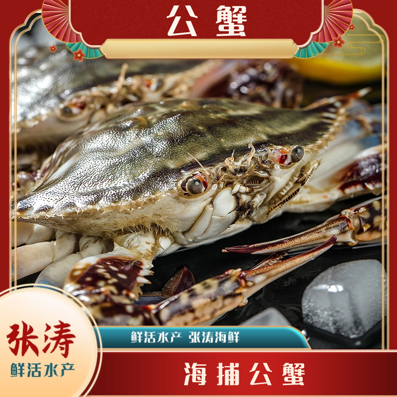 【保鲜不保活】鲜活海捕公蟹 (单只2-4两 每斤2-4只）当日达