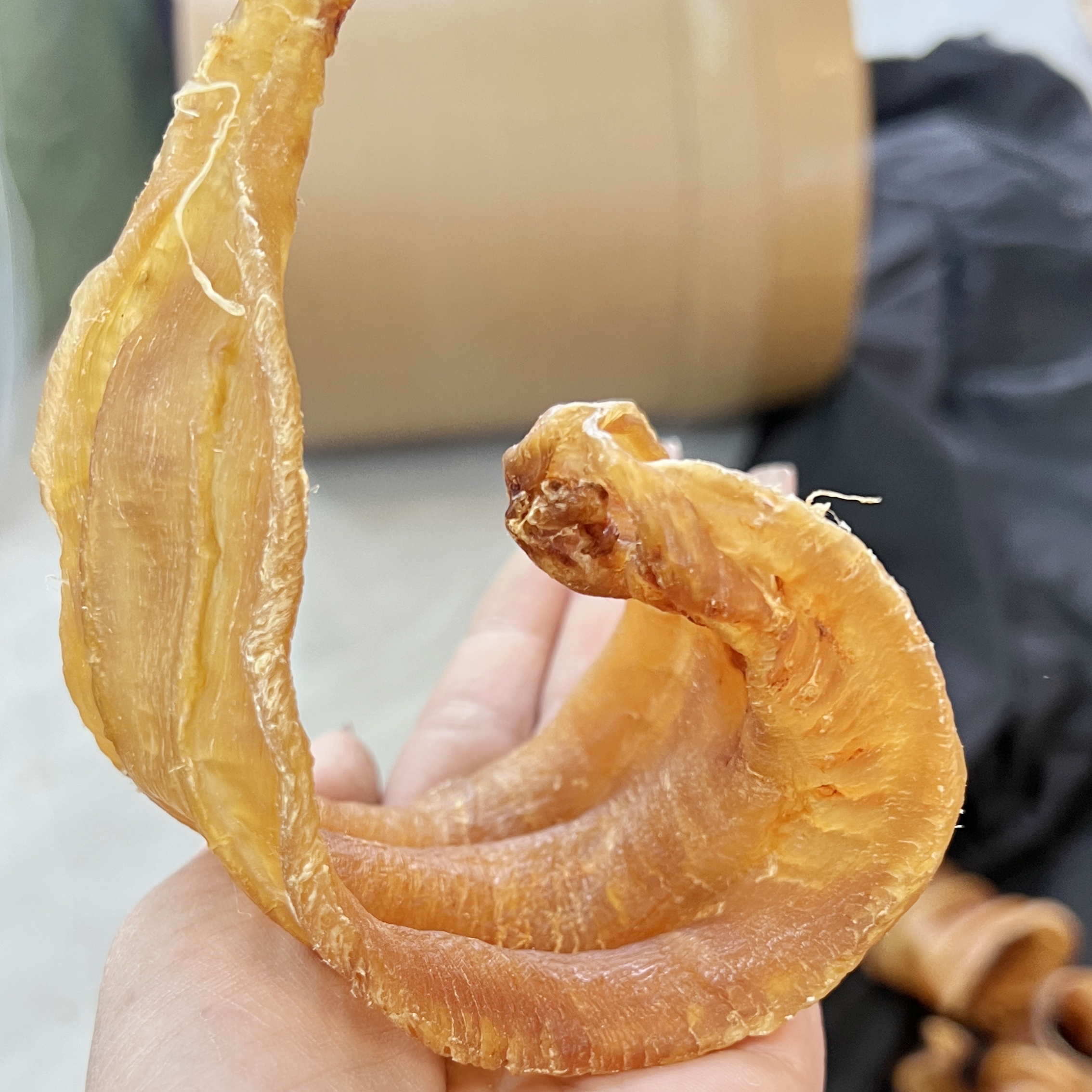 8号南澳朱小妹鱼胶 直播浮力