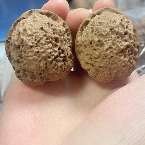 文玩核桃把件鱼籽纹绣球铁狮子42