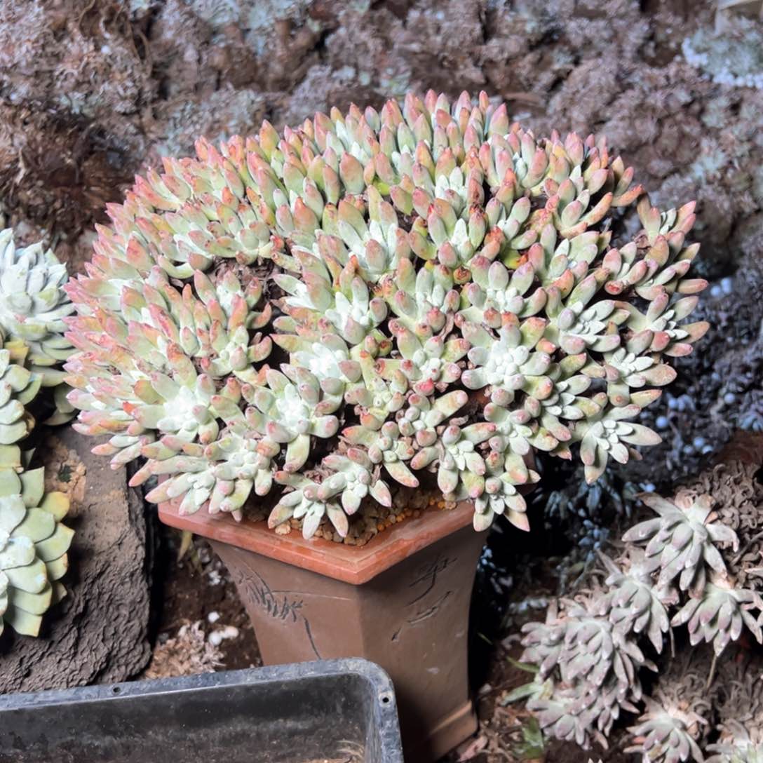 5412哈哈哈哈哈哈哈哈