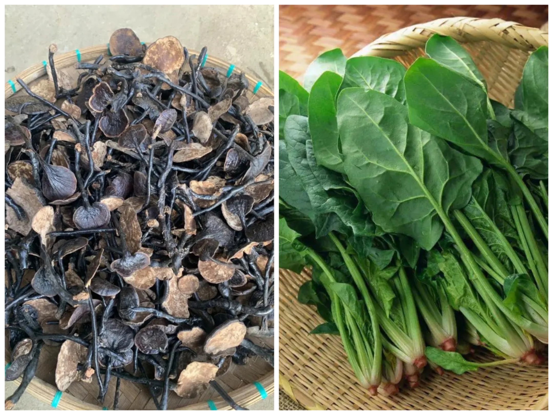 土特产≈[≈支≈]非香菇