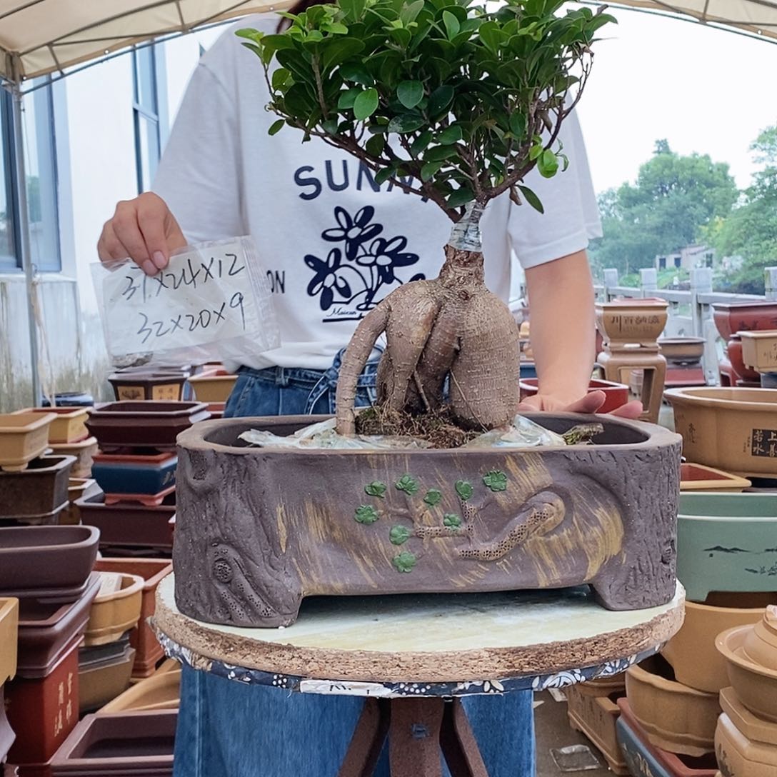 紫砂花盆紫砂花盆^_^