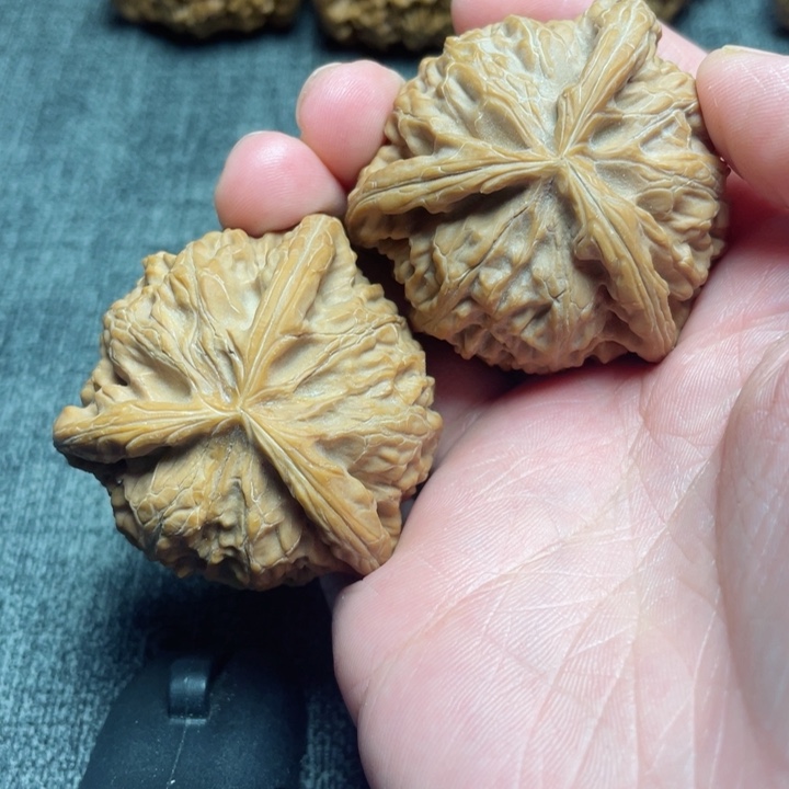 工艺三棱白狮子三棱